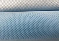 锡林浩特(PP)丙纶无纺布跟(PET)涤纶无纺布的区别